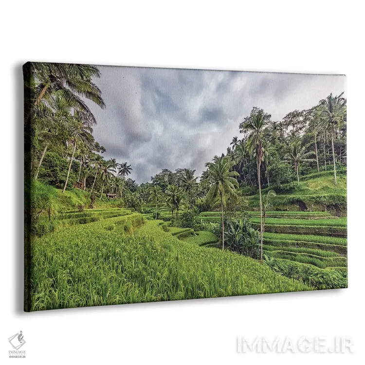 تابلو حومه اوبود (Ubud) اثر مانجیک پیکچرز (استودیو عکاسی یا فیلمسازی) - نمای پرسپکتیو محصول