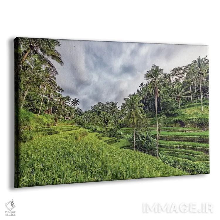 تابلو حومه اوبود (Ubud) اثر مانجیک پیکچرز (استودیو عکاسی یا فیلمسازی) - نمای پرسپکتیو محصول
