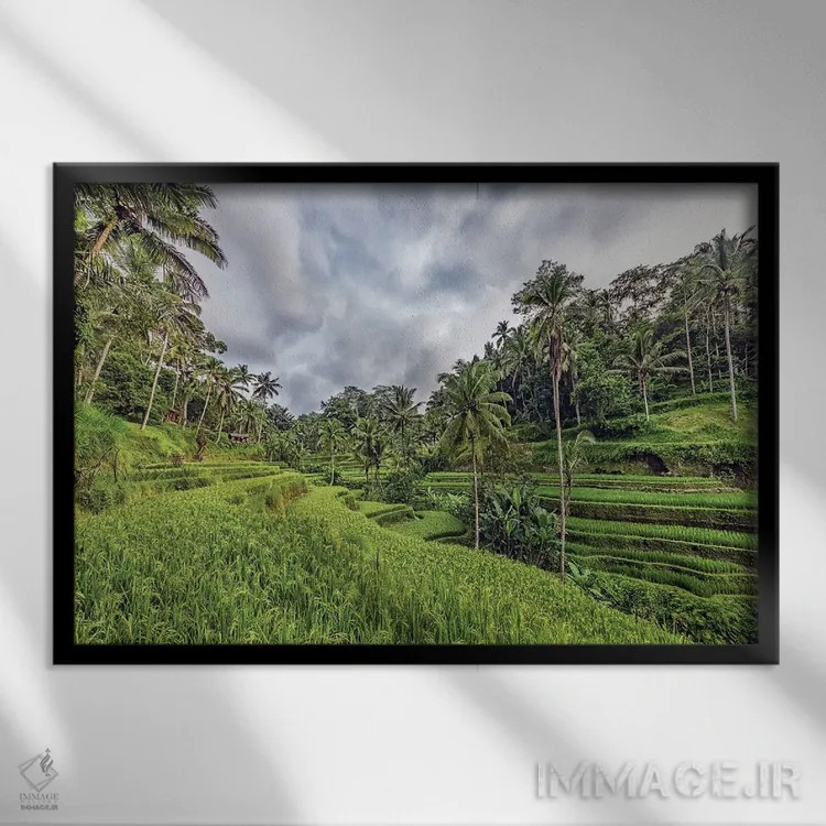 تابلو حومه اوبود (Ubud) اثر مانجیک پیکچرز (استودیو عکاسی یا فیلمسازی) - نمای قابدار مشکی