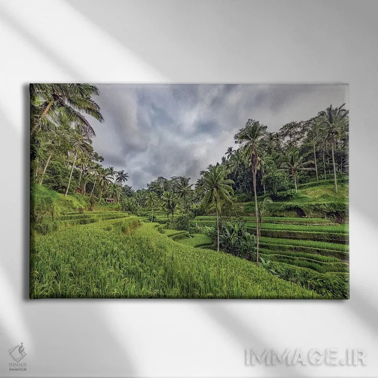تابلو حومه اوبود (Ubud) اثر مانجیک پیکچرز (استودیو عکاسی یا فیلمسازی) - نمای روبهرو روی دیوار
