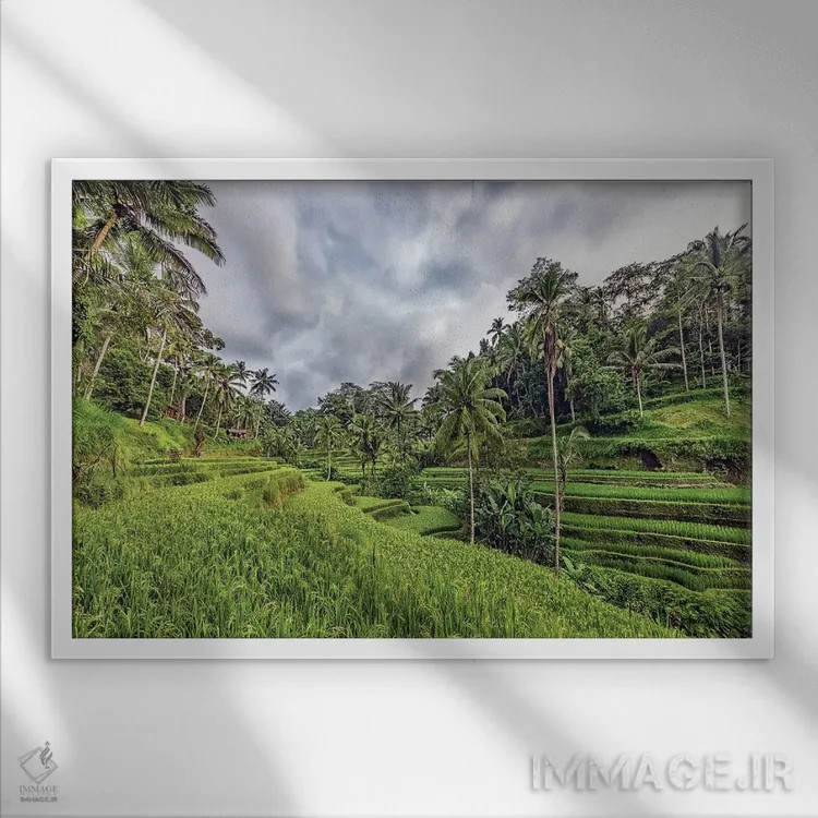 تابلو حومه اوبود (Ubud) اثر مانجیک پیکچرز (استودیو عکاسی یا فیلمسازی) - نمای قابدار سفید