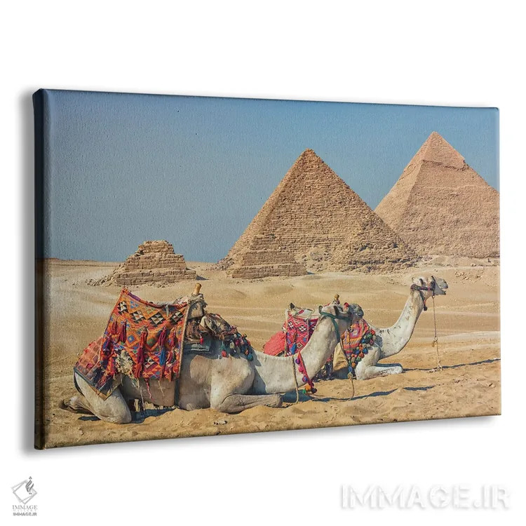 تابلو شترها در مصر اثر مانجیک پیکچرز (استودیو عکاسی یا فیلمسازی) - نمای پرسپکتیو محصول