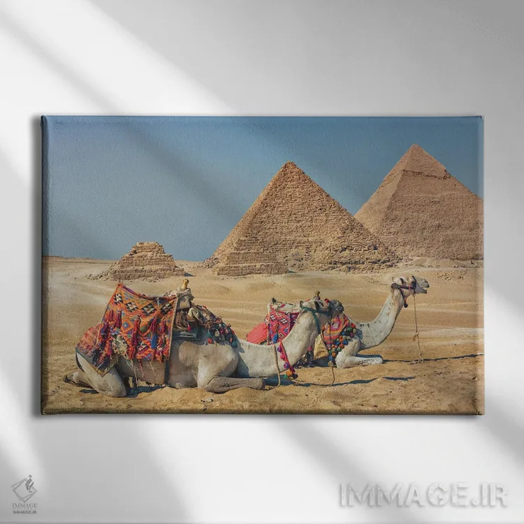 تابلو شترها در مصر اثر مانجیک پیکچرز (استودیو عکاسی یا فیلمسازی) - نمای روبهرو روی دیوار