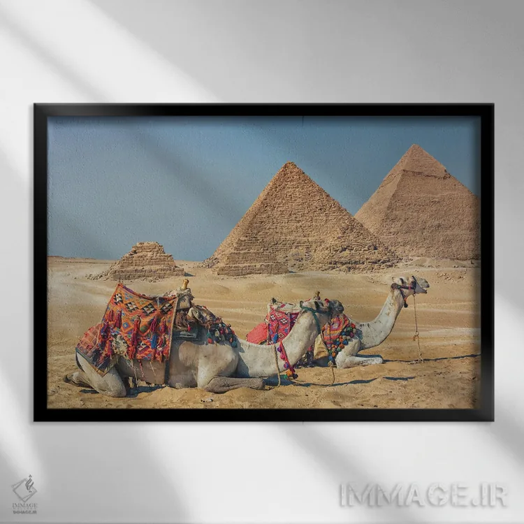 تابلو شترها در مصر اثر مانجیک پیکچرز (استودیو عکاسی یا فیلمسازی) - نمای قابدار مشکی