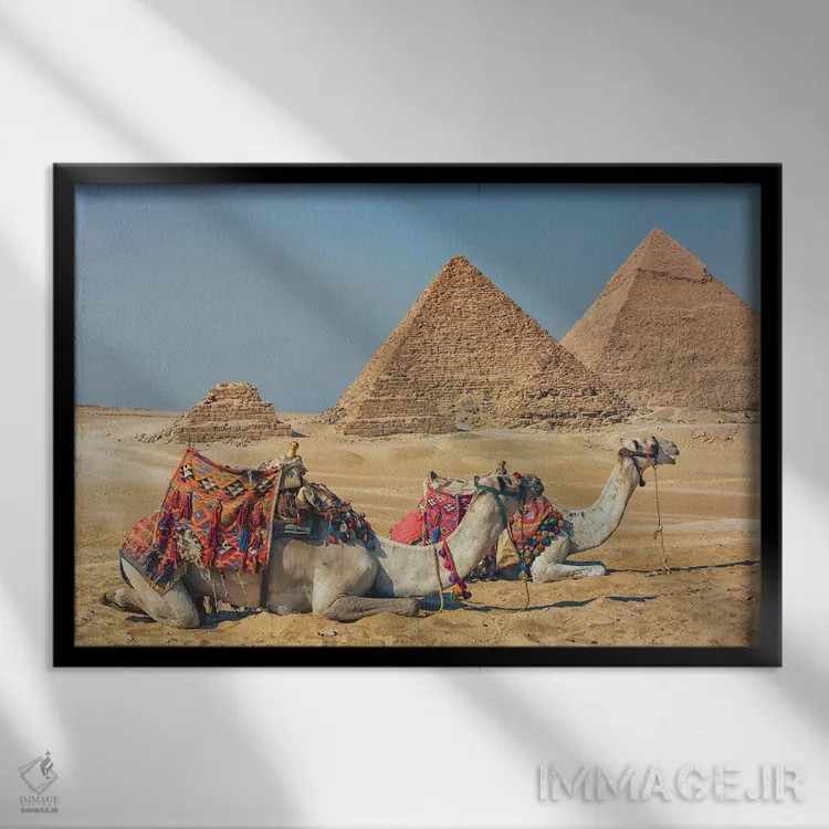 تابلو شترها در مصر اثر مانجیک پیکچرز (استودیو عکاسی یا فیلمسازی) - نمای قابدار مشکی