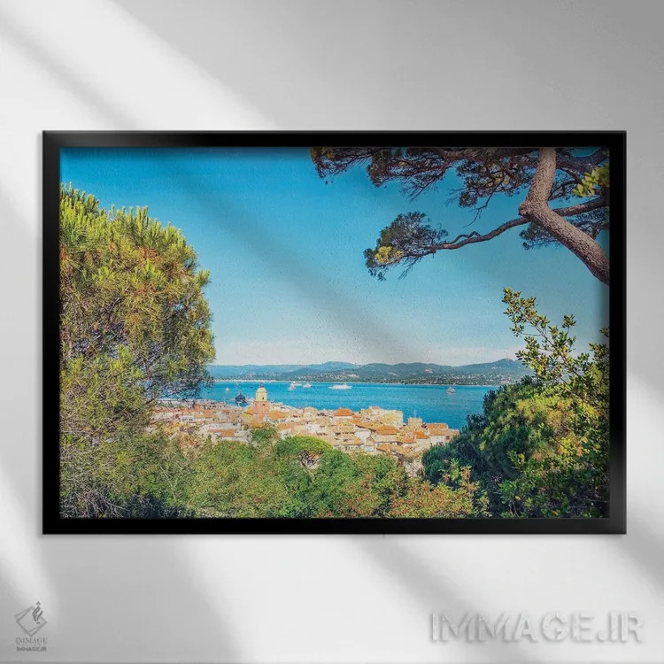 تابلو بامهای سن تروپه اثر مانجیک پیکچرز (استودیو عکاسی یا فیلمسازی) - نمای قابدار مشکی