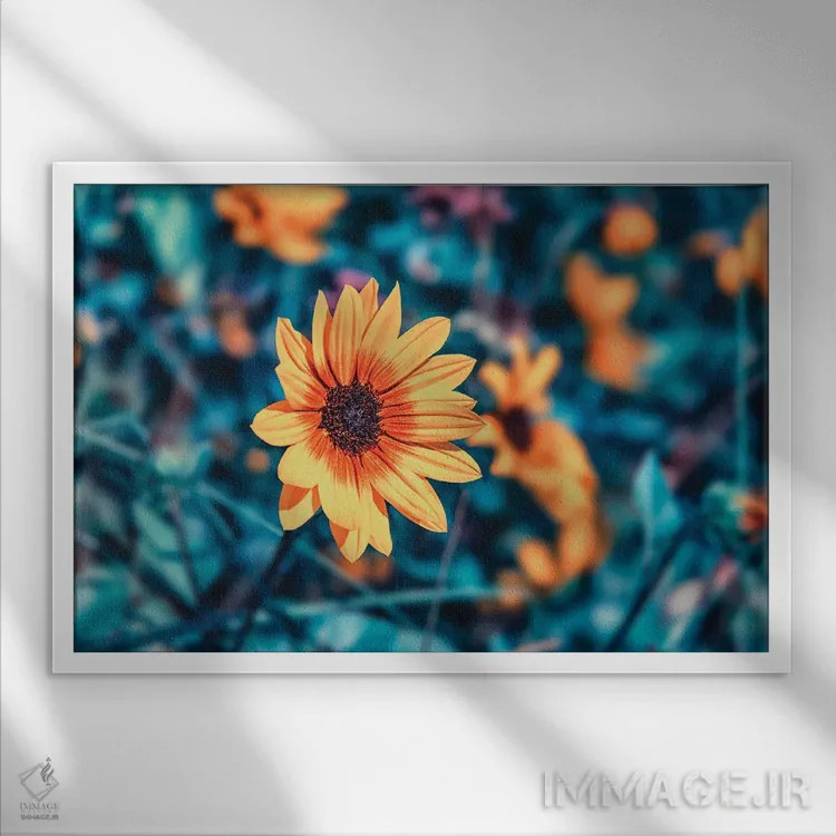 تابلو زیبایی باغ اثر مانجیک پیکچرز (استودیو عکاسی یا فیلمسازی) - نمای قابدار سفید