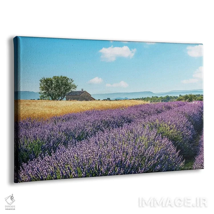 تابلو حومهٔ فرانسه اثر مانجیک پیکچرز (استودیو عکاسی یا فیلمسازی) - نمای پرسپکتیو محصول