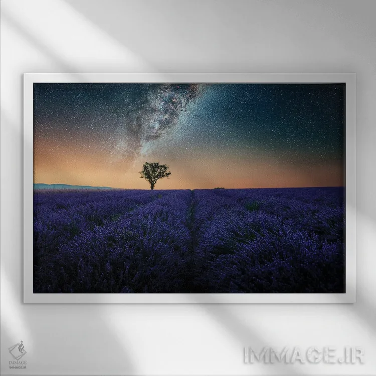 تابلو شب در پروانس اثر مانجیک پیکچرز (استودیو عکاسی یا فیلمسازی) - نمای قابدار سفید