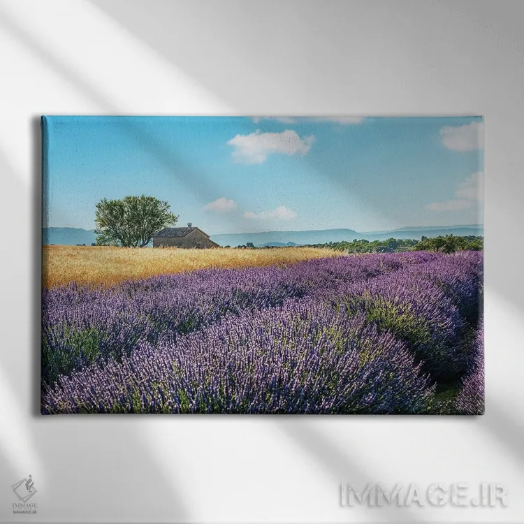 تابلو حومهٔ فرانسه اثر مانجیک پیکچرز (استودیو عکاسی یا فیلمسازی) - نمای روبهرو روی دیوار