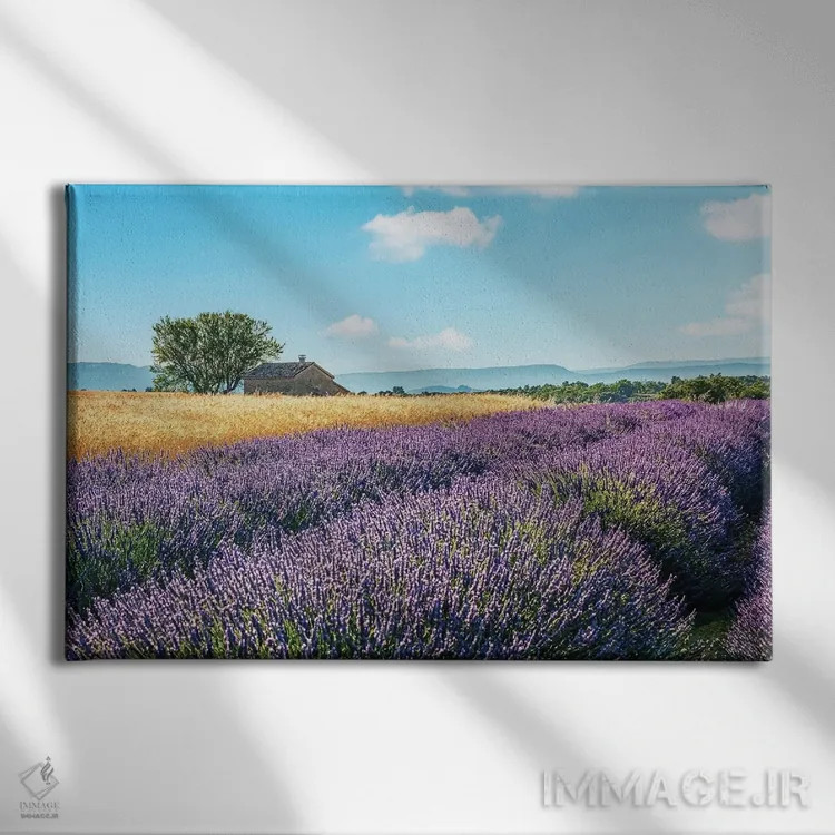 تابلو حومهٔ فرانسه اثر مانجیک پیکچرز (استودیو عکاسی یا فیلمسازی) - نمای روبهرو روی دیوار