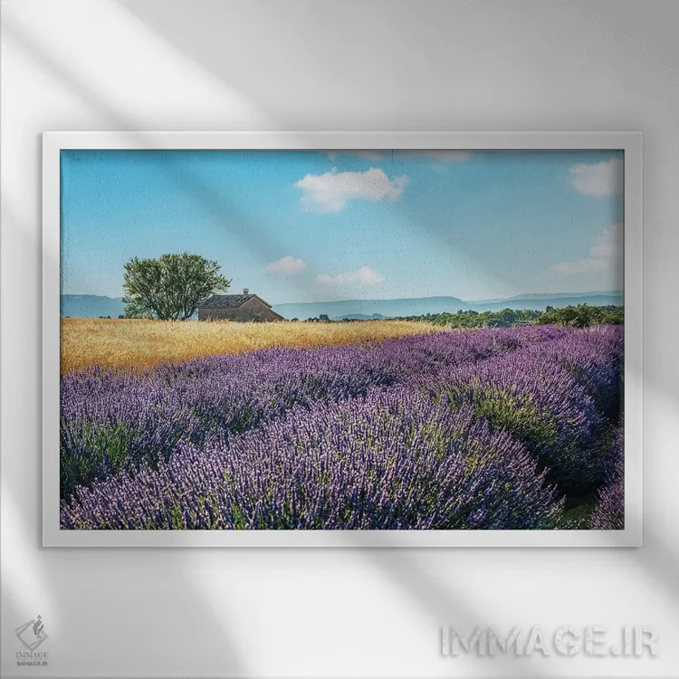 تابلو حومهٔ فرانسه اثر مانجیک پیکچرز (استودیو عکاسی یا فیلمسازی) - نمای قابدار سفید