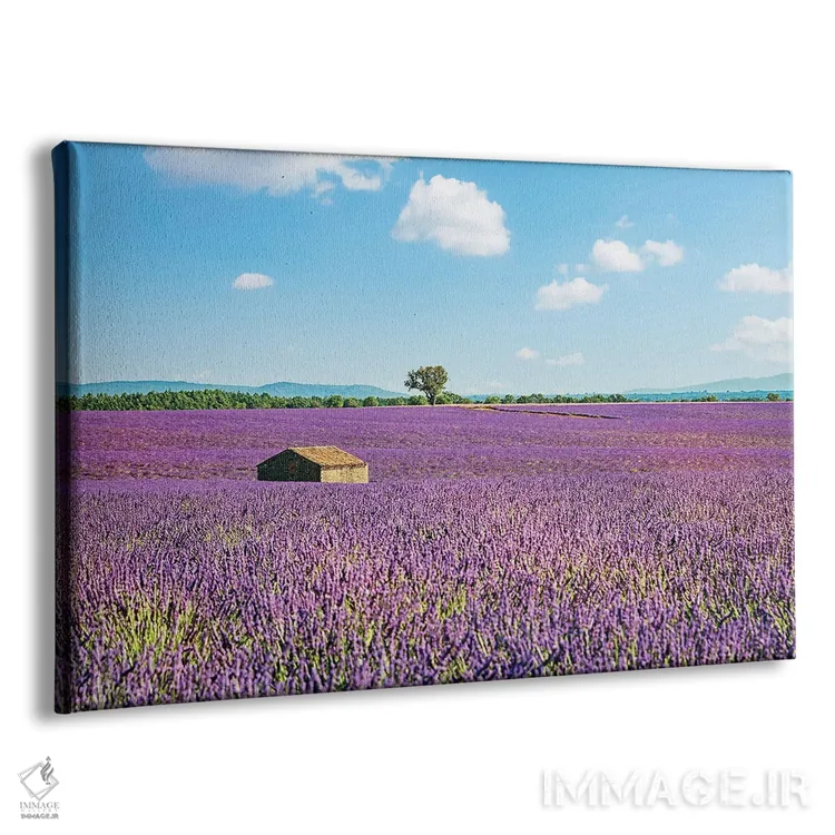 تابلو کلبهای با چشمانداز اثر مانجیک پیکچرز (استودیو عکاسی یا فیلمسازی) - نمای پرسپکتیو محصول