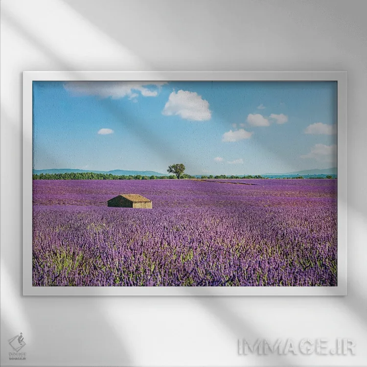 تابلو کلبهای با چشمانداز اثر مانجیک پیکچرز (استودیو عکاسی یا فیلمسازی) - نمای قابدار سفید