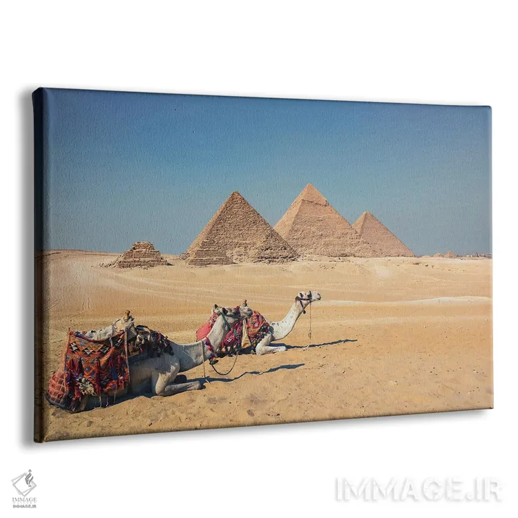 تابلو شترها در جیزه اثر مانجیک پیکچرز (استودیو عکاسی یا فیلمسازی) - نمای پرسپکتیو محصول