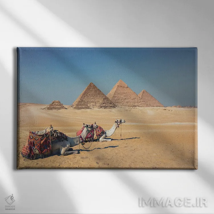 تابلو شترها در جیزه اثر مانجیک پیکچرز (استودیو عکاسی یا فیلمسازی) - نمای روبهرو روی دیوار