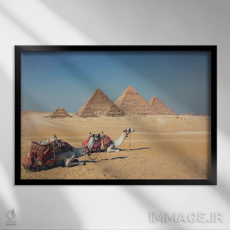 تابلو شترها در جیزه اثر مانجیک پیکچرز (استودیو عکاسی یا فیلمسازی) - نمای قابدار مشکی