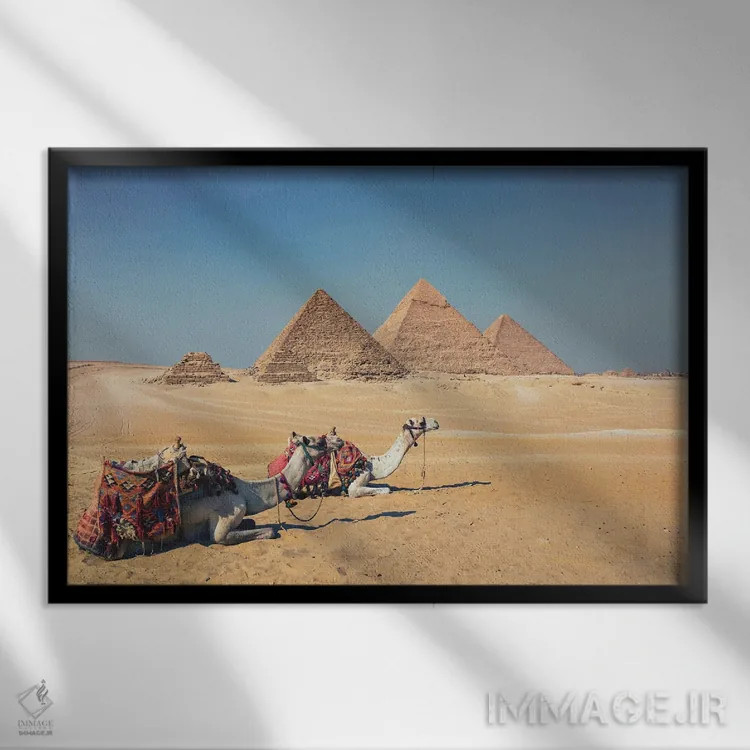 تابلو شترها در جیزه اثر مانجیک پیکچرز (استودیو عکاسی یا فیلمسازی) - نمای قابدار مشکی