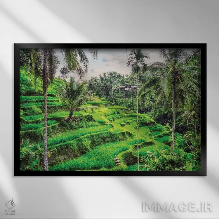 تابلو شالیزارهای پلکانی تگالالانگ (بالی) اثر مانجیک پیکچرز (استودیو عکاسی یا فیلمسازی) - نمای قابدار مشکی