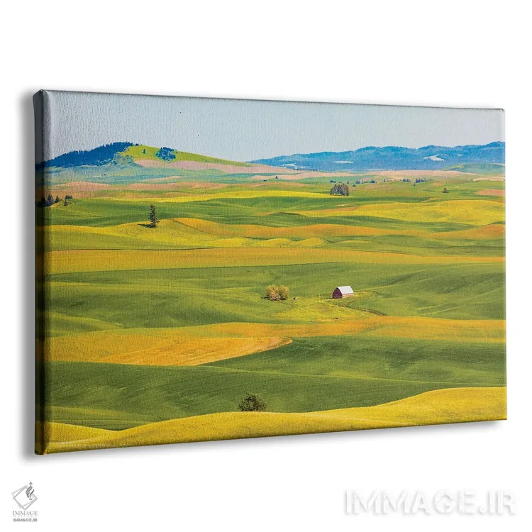 تابلو Washington State, Palouse, Colfax.,ایالات متحده، واشنگتن، پلوُس، کالفاکس. اثر امیلی ام ویلسون - نمای پرسپکتیو محصول