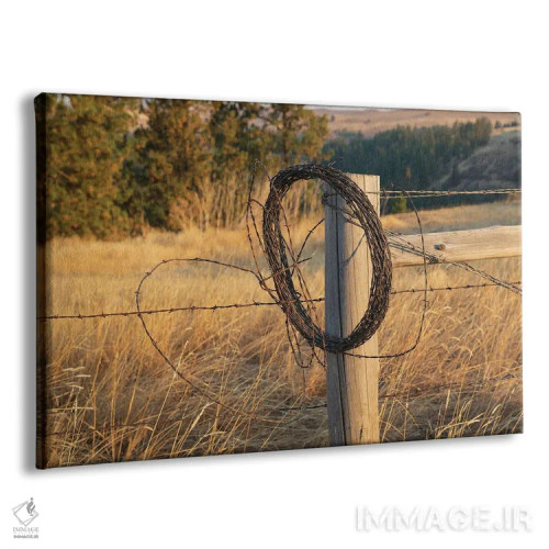 تابلو Washington State, Whitman County, Palouse Barbed Wire Fence Posts,ایالات متحده، واشنگتن، شهرستان ویتمن، پلوُس، پایههای حصار سیم خاردار اثر امیلی ام ویلسون - نمای پرسپکتیو محصول