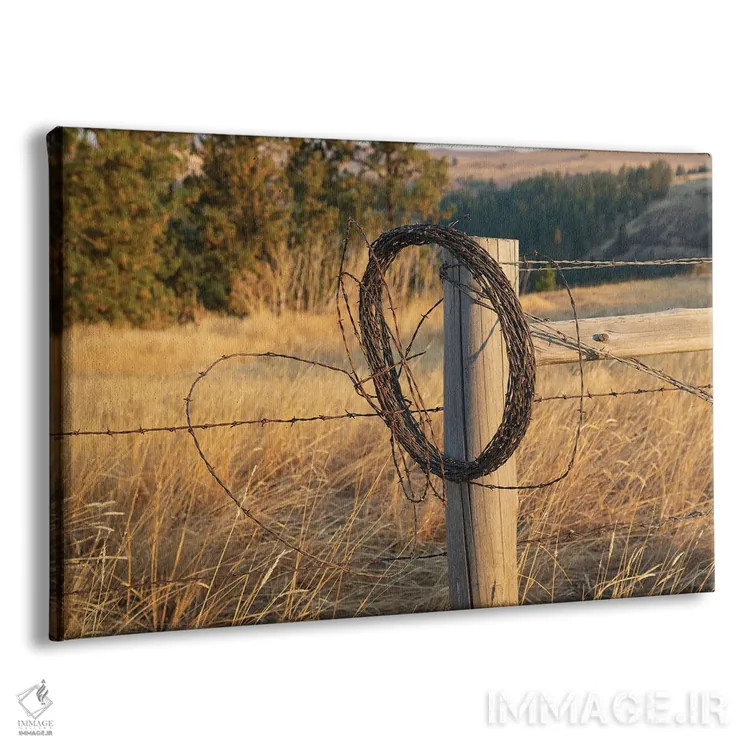 تابلو Washington State, Whitman County, Palouse Barbed Wire Fence Posts,ایالات متحده، واشنگتن، شهرستان ویتمن، پلوُس، پایههای حصار سیم خاردار اثر امیلی ام ویلسون - نمای پرسپکتیو محصول