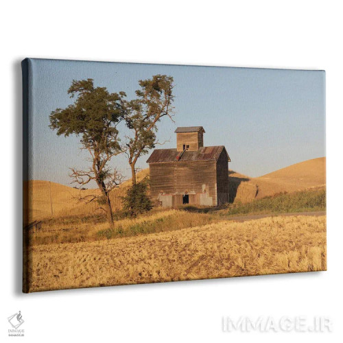 تابلو Washington State, Whitman County, Palouse Colfax Old Grain Silo And Barn Along Filan Road,ایالات متحده، واشنگتن، شهرستان ویتمن، پلوُس کالفاکس، سیلوی قدیمی غلات و انبار کنار جاده فیلان اثر امیلی ام ویلسون - نمای پرسپکتیو محصول