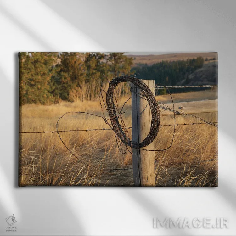 تابلو Washington State, Whitman County, Palouse Barbed Wire Fence Posts,ایالات متحده، واشنگتن، شهرستان ویتمن، پلوُس، پایههای حصار سیم خاردار اثر امیلی ام ویلسون - نمای روبهرو روی دیوار