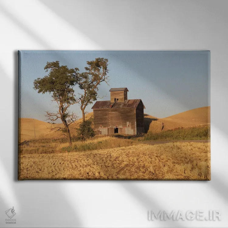 تابلو Washington State, Whitman County, Palouse Colfax Old Grain Silo And Barn Along Filan Road,ایالات متحده، واشنگتن، شهرستان ویتمن، پلوُس کالفاکس، سیلوی قدیمی غلات و انبار کنار جاده فیلان اثر امیلی ام ویلسون - نمای روبهرو روی دیوار