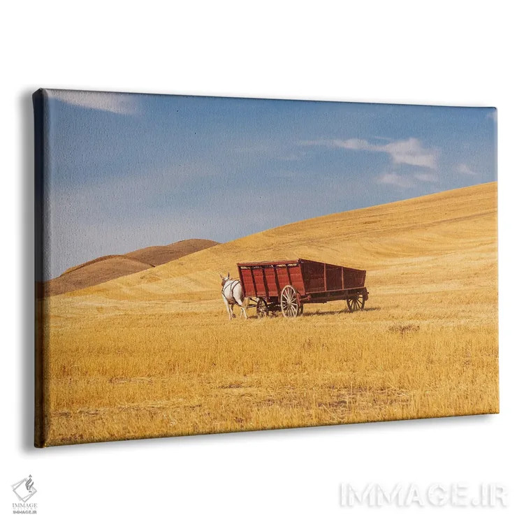 تابلو Washington State, Whitman County, Palouse Harvesting Wheat Old Fashioned Threshing Farm Equipment,ایالات متحده، واشنگتن، شهرستان ویتمن، پلوُس؛ برداشت گندم با تجهیزات سنتی خرمنکوبی اثر امیلی ام ویلسون - نمای پرسپکتیو محصول