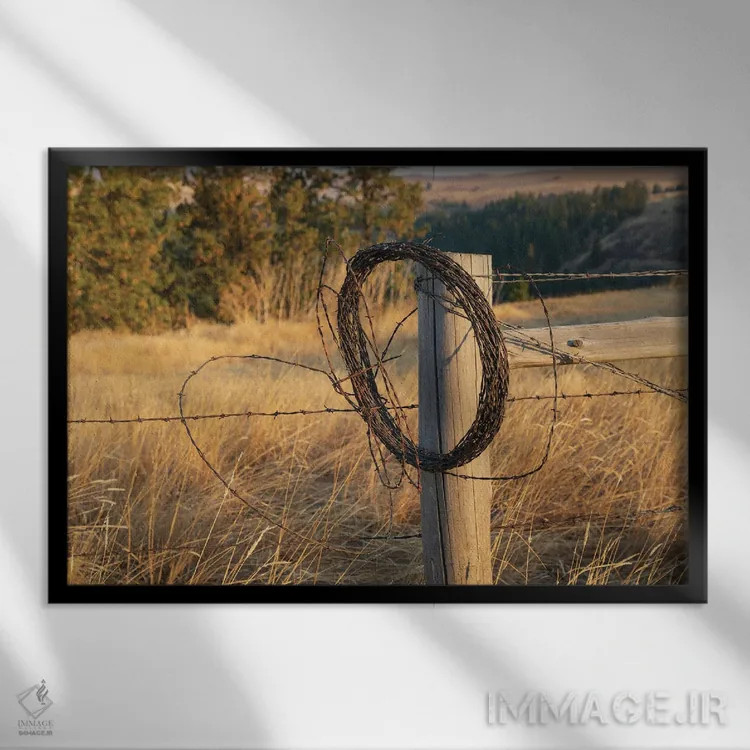 تابلو Washington State, Whitman County, Palouse Barbed Wire Fence Posts,ایالات متحده، واشنگتن، شهرستان ویتمن، پلوُس، پایههای حصار سیم خاردار اثر امیلی ام ویلسون - نمای قابدار مشکی