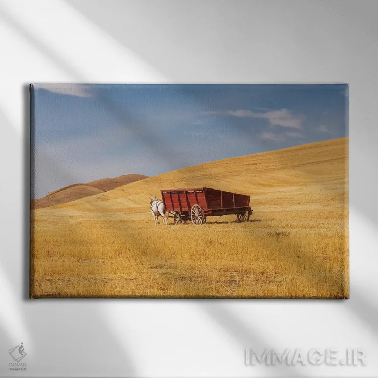 تابلو Washington State, Whitman County, Palouse Harvesting Wheat Old Fashioned Threshing Farm Equipment,ایالات متحده، واشنگتن، شهرستان ویتمن، پلوُس؛ برداشت گندم با تجهیزات سنتی خرمنکوبی اثر امیلی ام ویلسون - نمای روبهرو روی دیوار