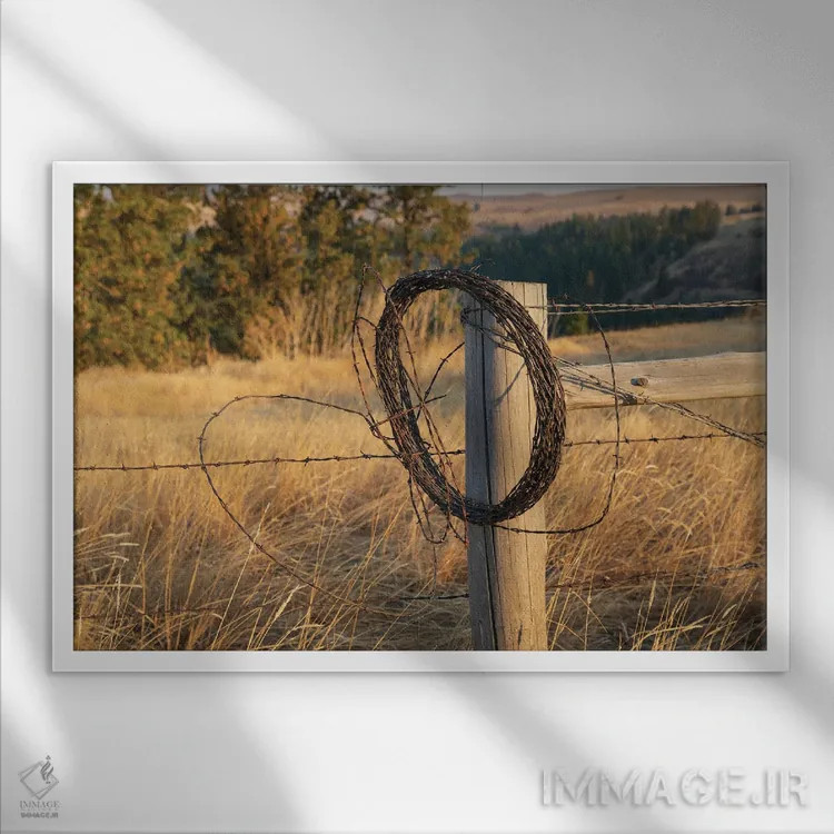 تابلو Washington State, Whitman County, Palouse Barbed Wire Fence Posts,ایالات متحده، واشنگتن، شهرستان ویتمن، پلوُس، پایههای حصار سیم خاردار اثر امیلی ام ویلسون - نمای قابدار سفید