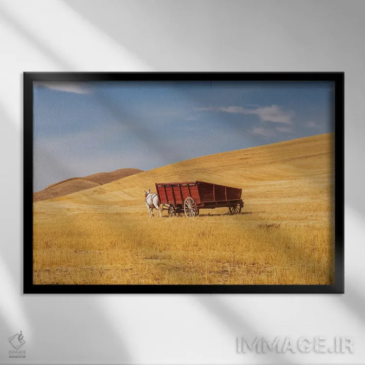 تابلو Washington State, Whitman County, Palouse Harvesting Wheat Old Fashioned Threshing Farm Equipment,ایالات متحده، واشنگتن، شهرستان ویتمن، پلوُس؛ برداشت گندم با تجهیزات سنتی خرمنکوبی اثر امیلی ام ویلسون - نمای قابدار مشکی