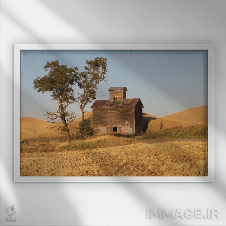 تابلو Washington State, Whitman County, Palouse Colfax Old Grain Silo And Barn Along Filan Road,ایالات متحده، واشنگتن، شهرستان ویتمن، پلوُس کالفاکس، سیلوی قدیمی غلات و انبار کنار جاده فیلان اثر امیلی ام ویلسون - نمای قابدار سفید