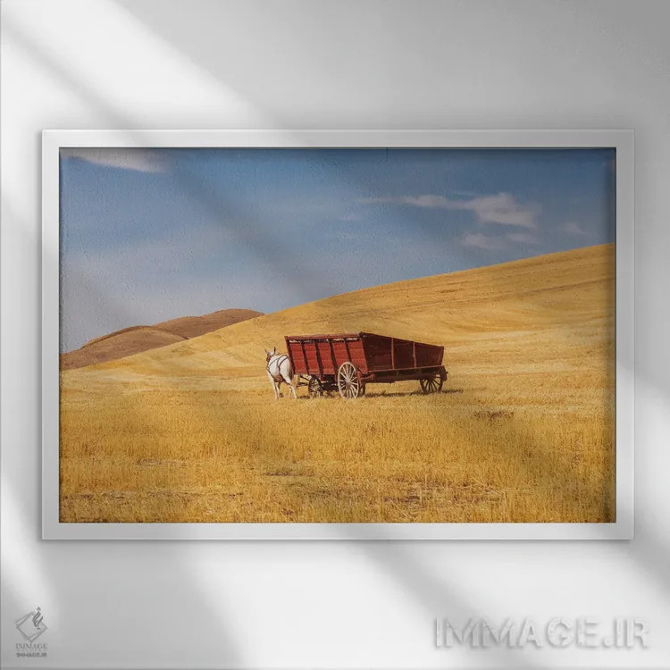 تابلو Washington State, Whitman County, Palouse Harvesting Wheat Old Fashioned Threshing Farm Equipment,ایالات متحده، واشنگتن، شهرستان ویتمن، پلوُس؛ برداشت گندم با تجهیزات سنتی خرمنکوبی اثر امیلی ام ویلسون - نمای قابدار سفید