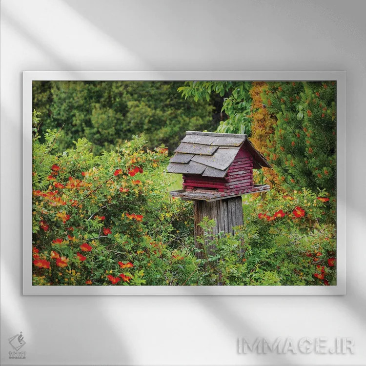 تابلو Washington State, Palouse, Colfax. Red Birdhouse Sitting On A Fence.,ایالات متحده، واشنگتن، پلوُس، کالفاکس. لانه پرنده قرمز روی حصار. اثر امیلی ام ویلسون - نمای قابدار سفید