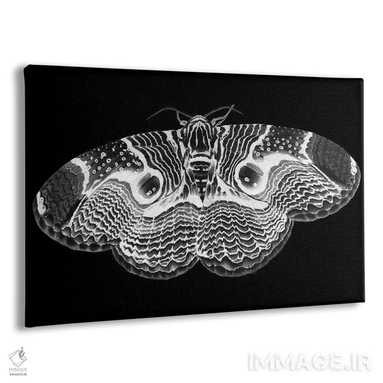 تابلو شبپرهٔ برهمین وارونه اثر الا مازور - نمای پرسپکتیو محصول