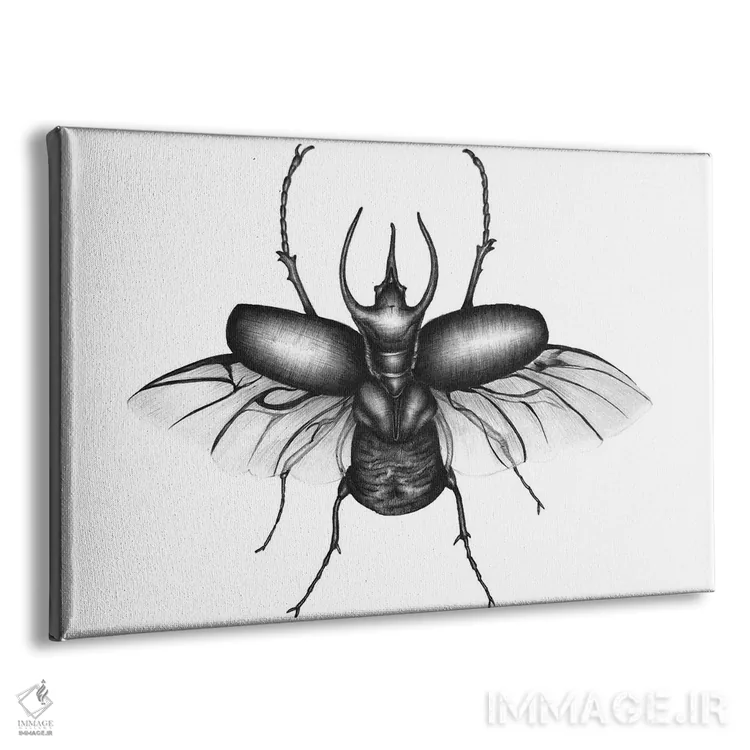 تابلو بالهای سوسک اثر الا مازور - نمای پرسپکتیو محصول