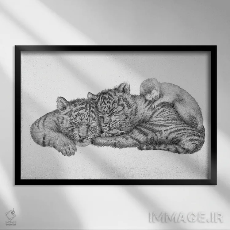 تابلو چرتهای ببر اثر الا مازور - نمای قابدار مشکی