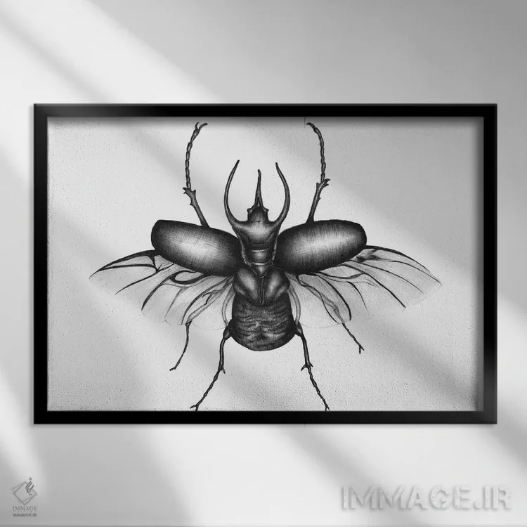 تابلو بالهای سوسک اثر الا مازور - نمای قابدار مشکی