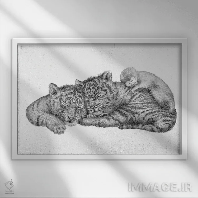 تابلو چرتهای ببر اثر الا مازور - نمای قابدار سفید