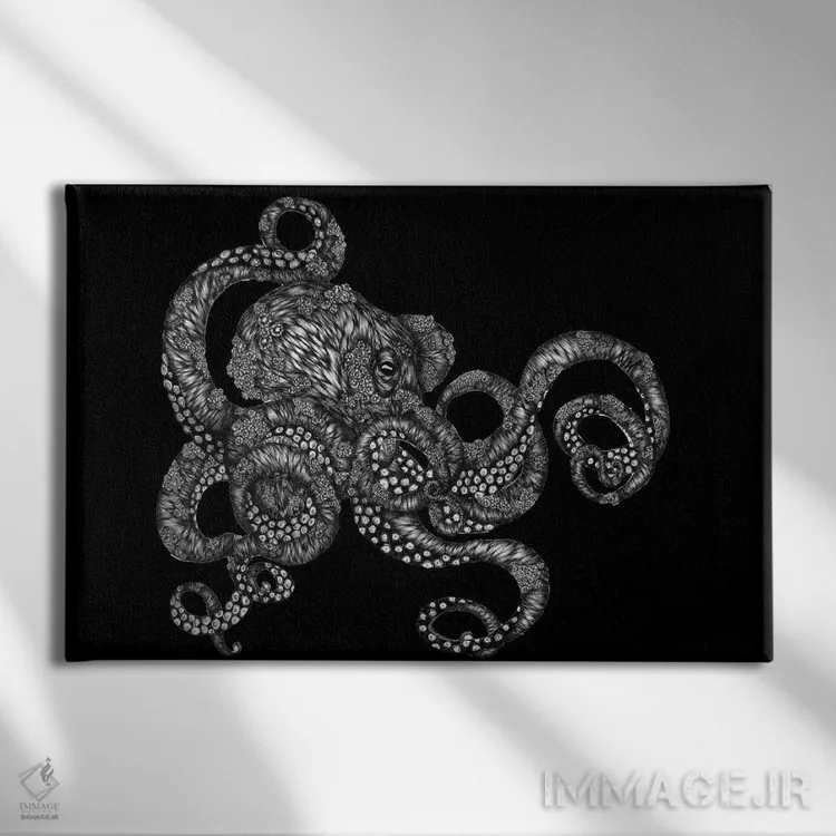تابلو هشتپای صدفی در سیاهی اثر الا مازور - نمای روبهرو روی دیوار