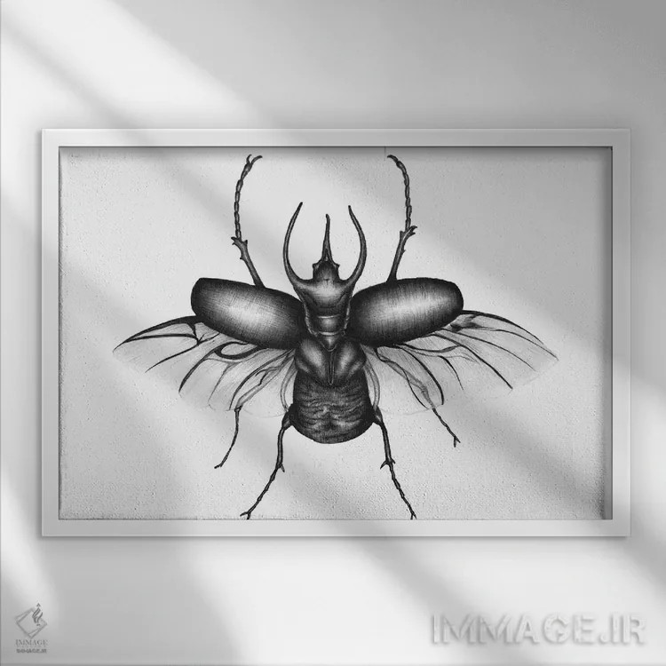 تابلو بالهای سوسک اثر الا مازور - نمای قابدار سفید