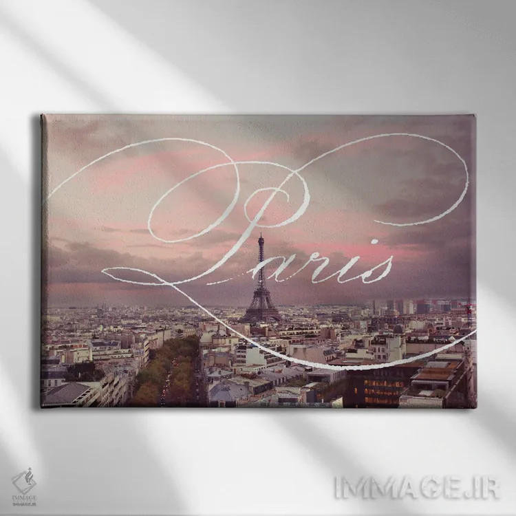تابلو مناظر پاریس اثر امیلی ناواس - نمای روبهرو روی دیوار