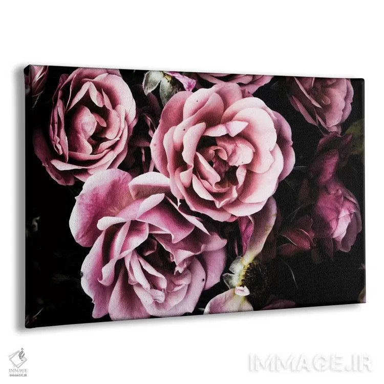 تابلو رزهای باروک اثر امیلی ناواس - نمای پرسپکتیو محصول