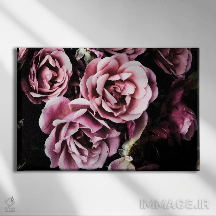 تابلو رزهای باروک اثر امیلی ناواس - نمای روبهرو روی دیوار