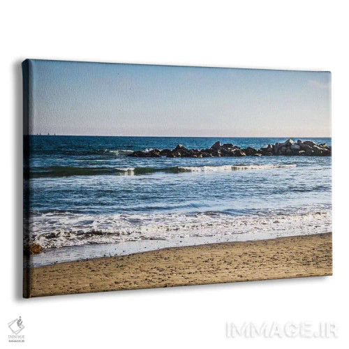 تابلو صخرهٔ مرجانی دوردست I اثر امیلی ناواس - نمای پرسپکتیو محصول