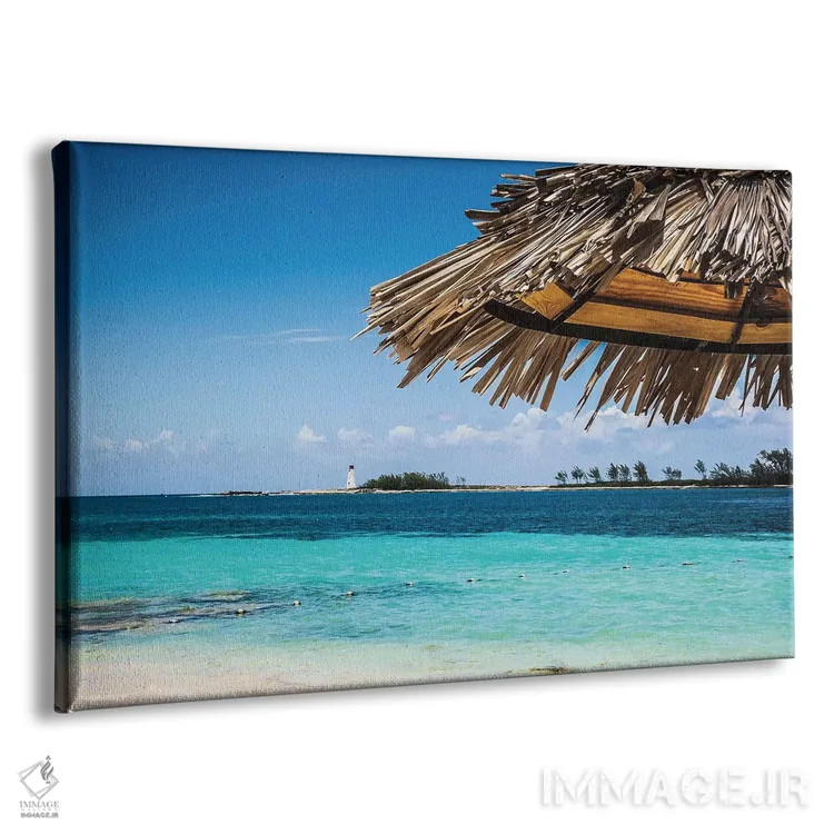 تابلو زیر سایه اثر امیلی ناواس - نمای پرسپکتیو محصول