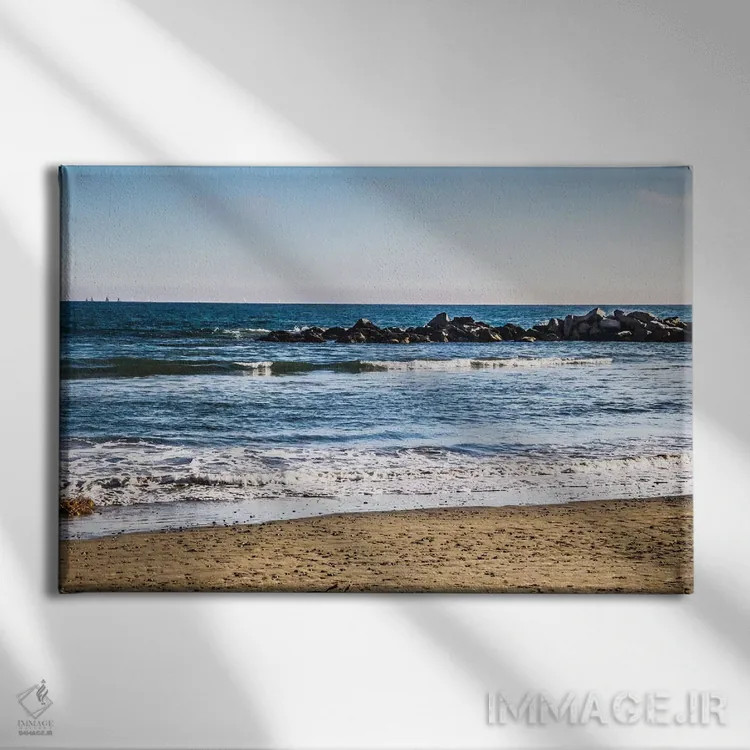 تابلو صخرهٔ مرجانی دوردست I اثر امیلی ناواس - نمای روبهرو روی دیوار